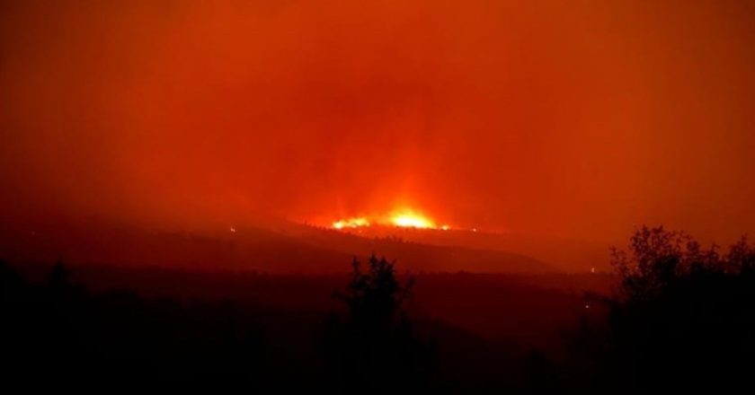 Son Dakika… Ankara’da başlayıp Bolu’ya yayılan orman yangınıyla ilgili 1 şüpheli tutuklandı – Son Dakika Türkiye Haberleri