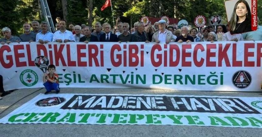 Valilik, Cengiz’in Artvin Cerattepe’deki faaliyetlerini durdurdu – Son Dakika Çevre Haberleri