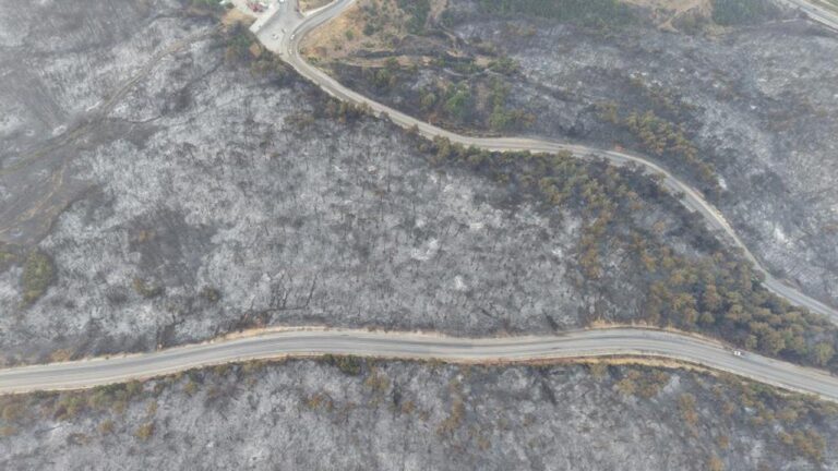 Bursa’daki yangının boyutu gün ağarınca ortaya çıktı