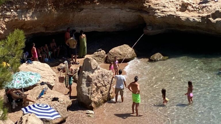 Datça’da sahilde dinlenen fok için bölgeye güvenlik şeridi çekildi