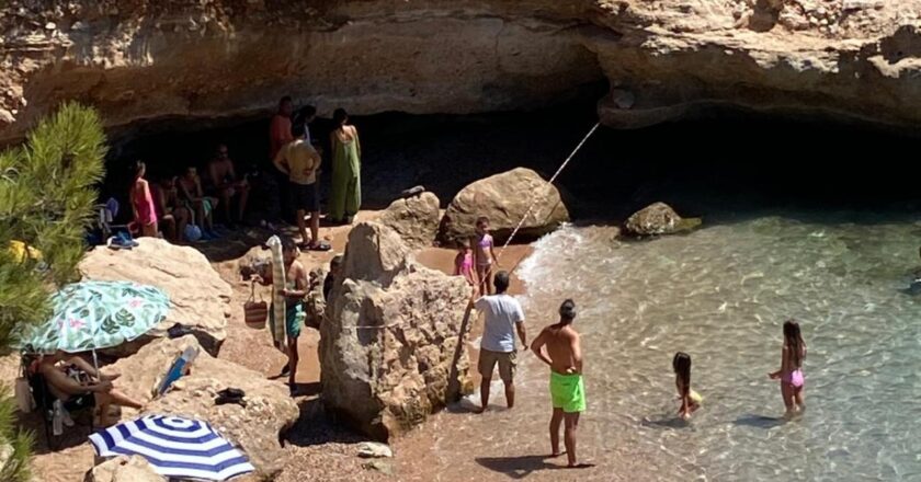Datça’da sahilde dinlenen fok için bölgeye güvenlik şeridi çekildi