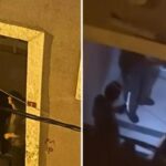İstanbul'un göbeğinde tedirgin eden görüntü!