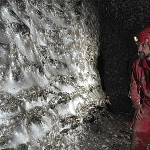 Video. Araştırmacılar Arnavutluk-Yunanistan sınırındaki mağarada ‘Megacity’ adlı dev örümceği keşfetti
