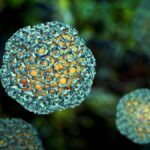 Hayvanlardan insana bulaşan ölümcül salgın yayılıyor: 29 kişiyi öldürdü!